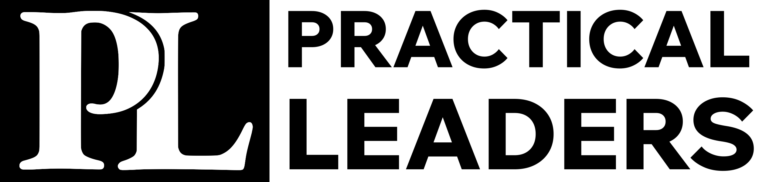 Practical Leaders Ltd logo